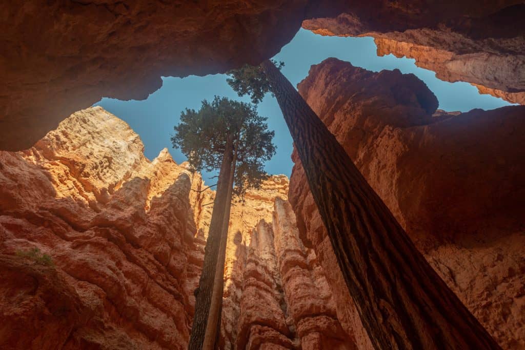 7 Must See Places in Southern Utah